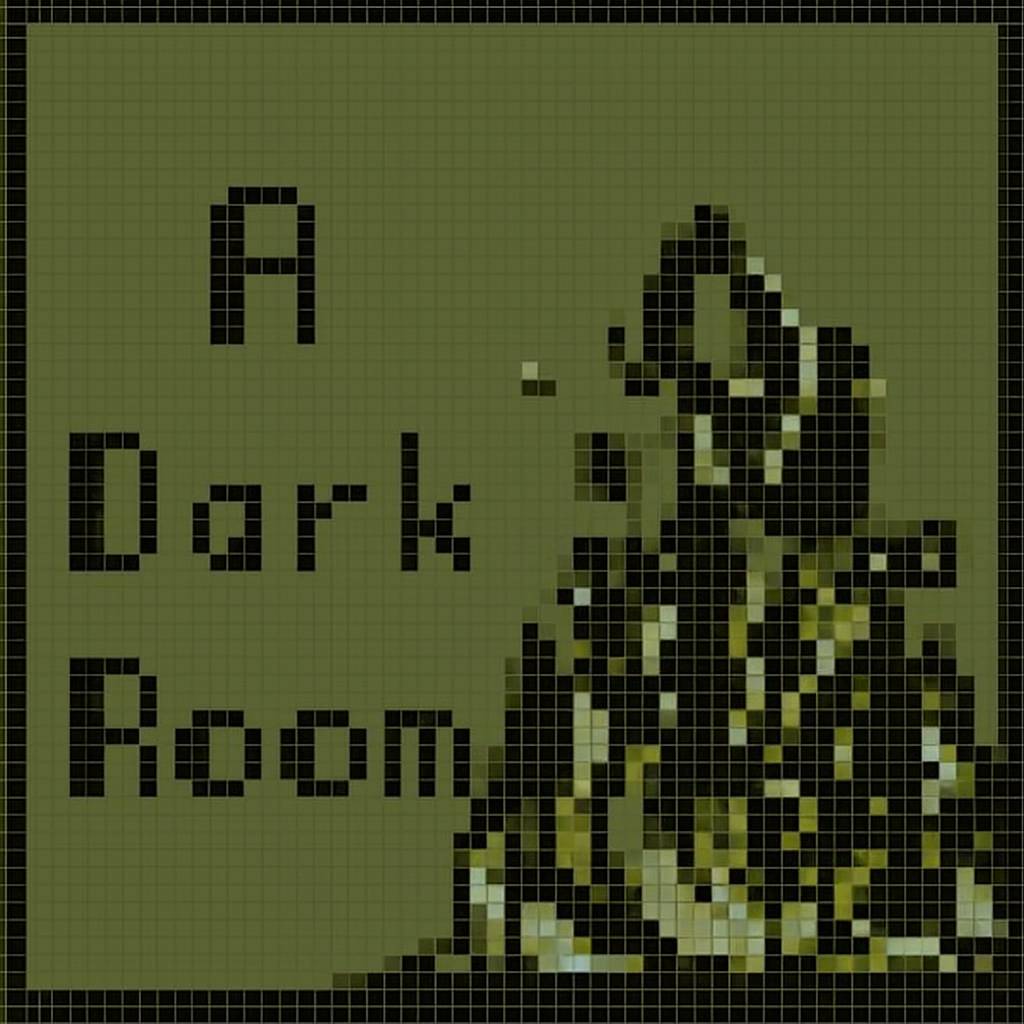 A Dark Room